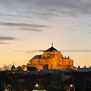 Zoco Cordoba
